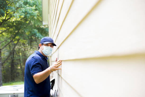 Best Vinyl Siding Installation  in Edmore, MI